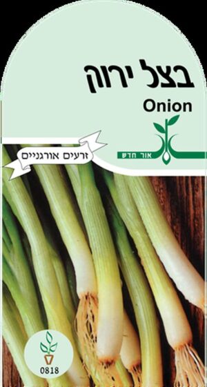 זרעי בצל ירוק