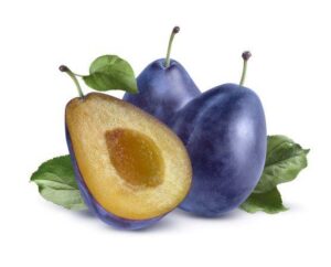 שזיף 'שגיב'