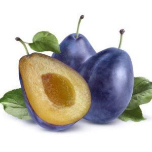 שזיף 'שגיב'