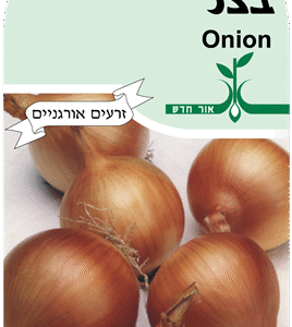 זרעי ירקות בצל