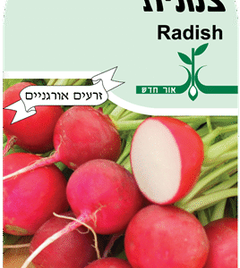 זרעי צנונית