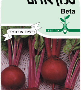 זרעי ירקות סלק אדום