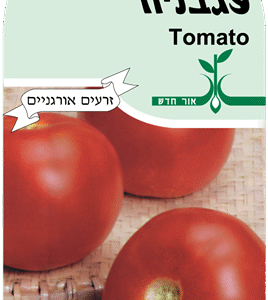 זרעי עגבניה