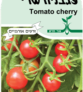 זרעי עגבניה שרי