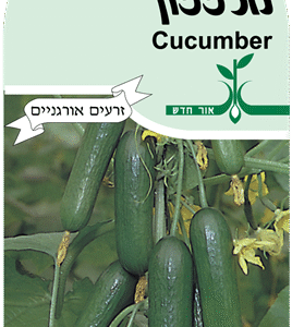 זרעי מלפפון