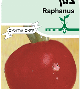 זרעי ירקות צנון