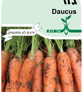 זרעי גזר