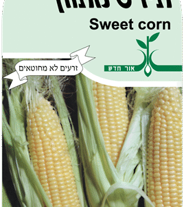 זרעי ירקות תירס