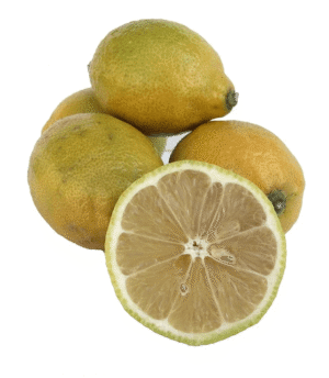 לימון 'יוריקה'